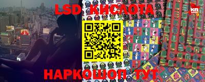 Альфа ПВП Ставрополь
