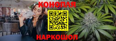 Альфа ПВП Ставрополь