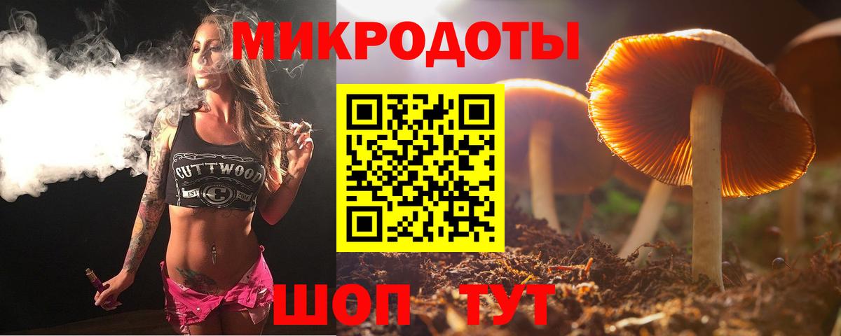 Псилоцибиновые грибы GOLDEN TEACHER  Вход с VPN  Новотроицк  Псилоцибиновые грибы GOLDEN TEACHER 